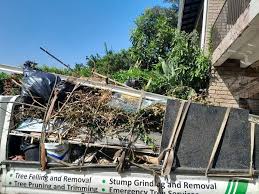 Reliable Shannon, GA Junk Removal Solutions